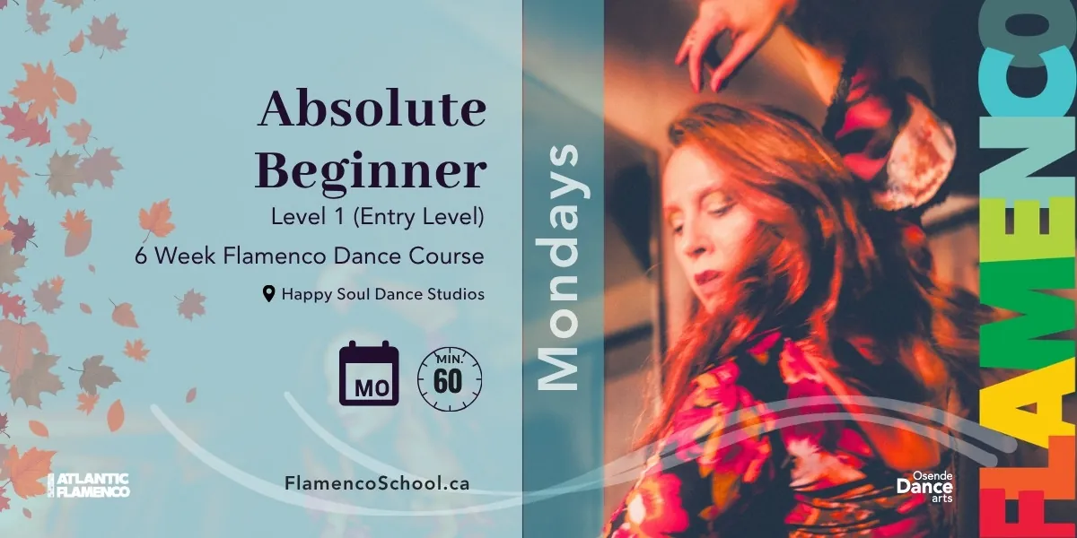 Level 1 - Flamenco Basics - Beginner 6-week Flamenco Course (Mondays)