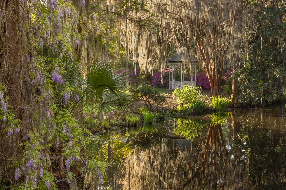 Introduction to Digital Photography