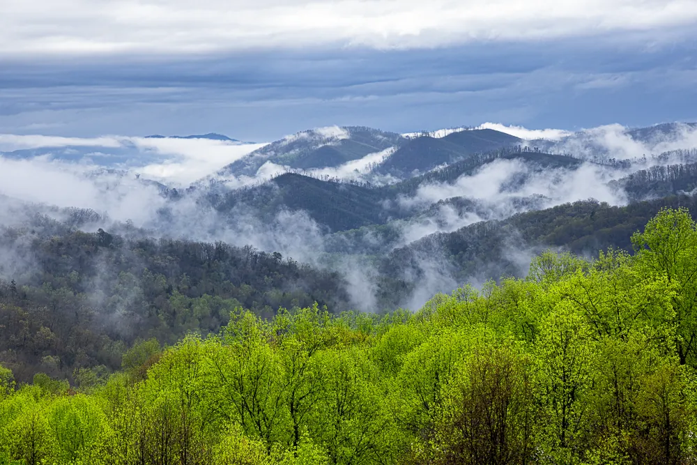 Great Smoky Mountains National Park in Spring