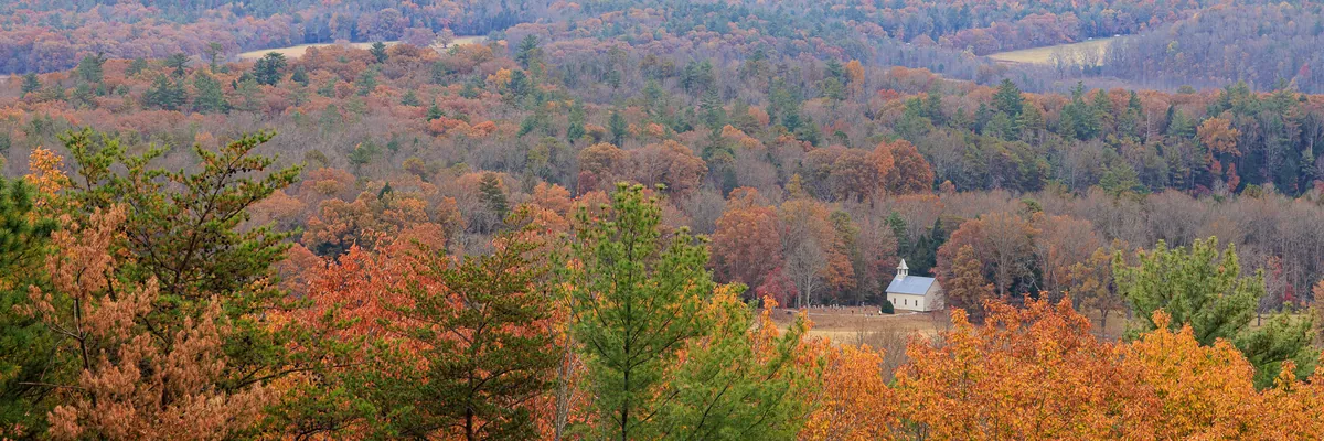 Fall Color in the Smoky Mountains