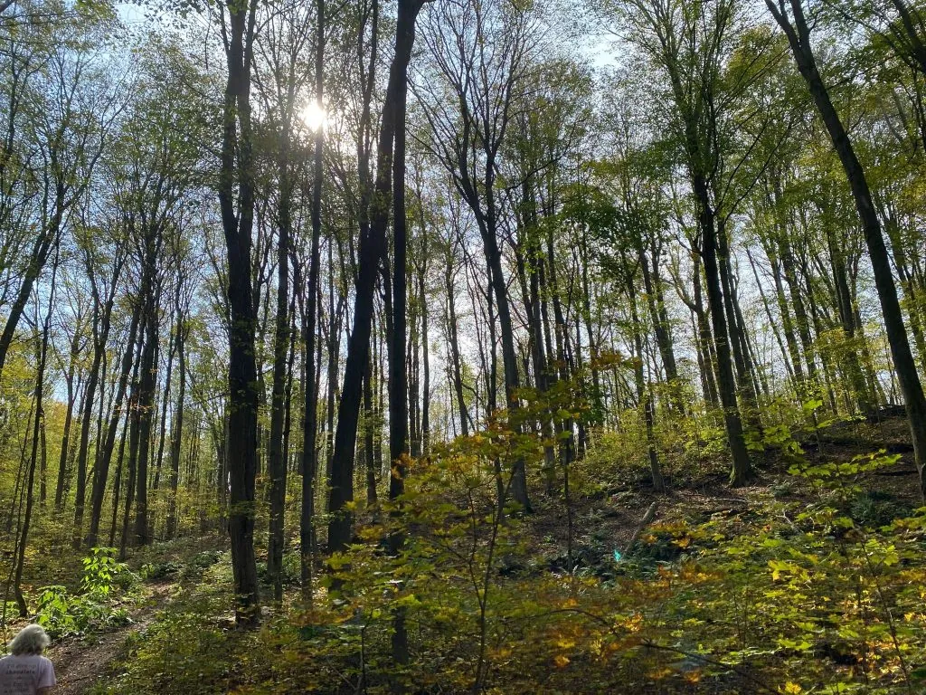 WEEK 1 - Summer Camp 2026