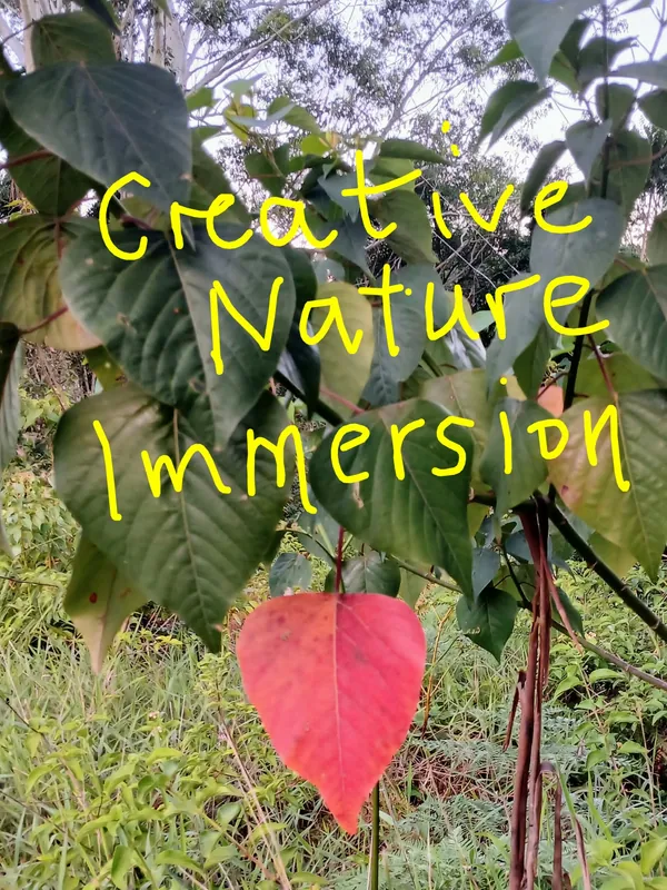 Art Therapy Collective Northern NSW Autumn Gathering