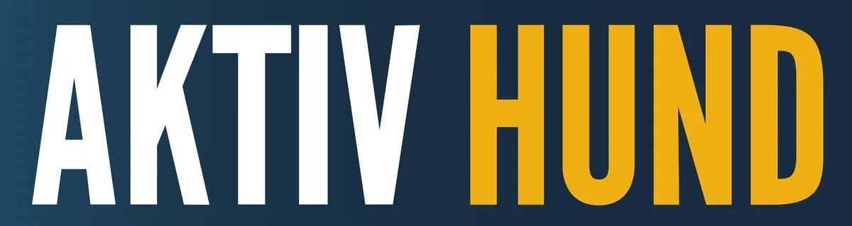 Sommerkurs 2026 – struktur, relasjon og praktisk arbeid