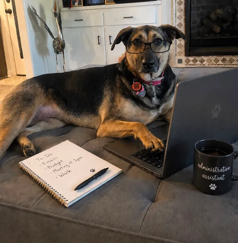 Live 45-Hour, Sales Associate Post License Class