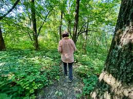 Re-Wilding Wednesdays: Wanderings for Women