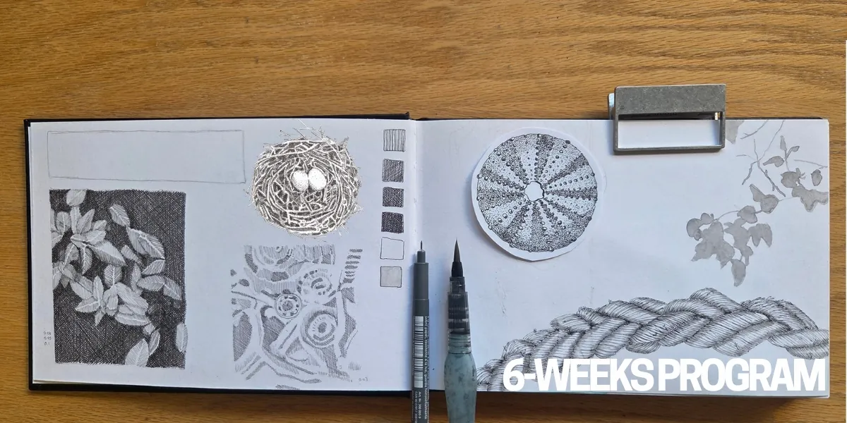 Drawing the Everyday - LEVEL 1