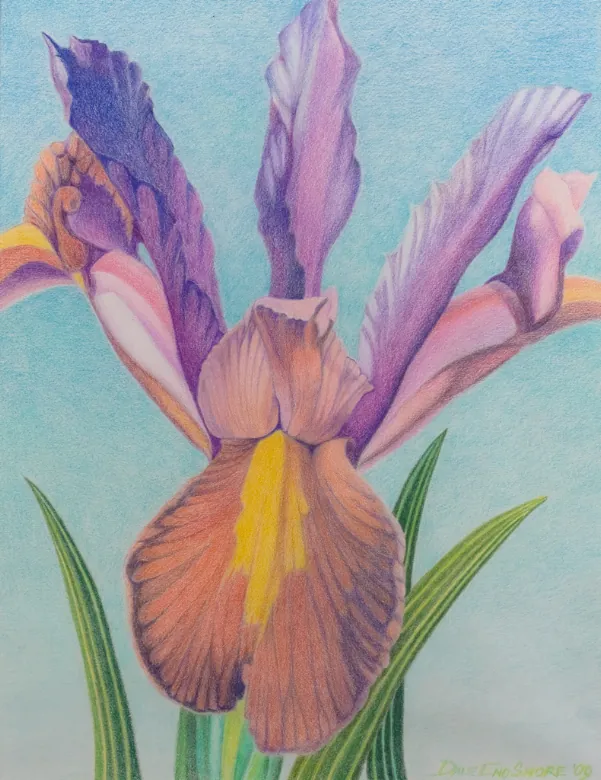 Introduction To Colored Pencils (two-session class)