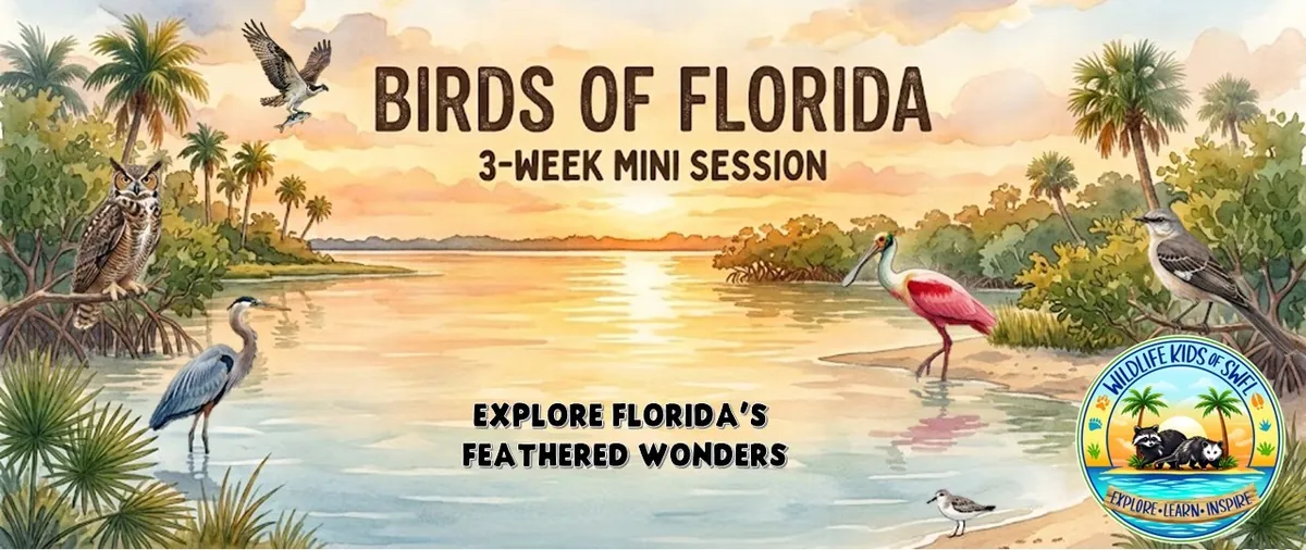 Wildlife Kids of SWFL (Wednesday): 3 Week MINI UNIT - Birds of Florida