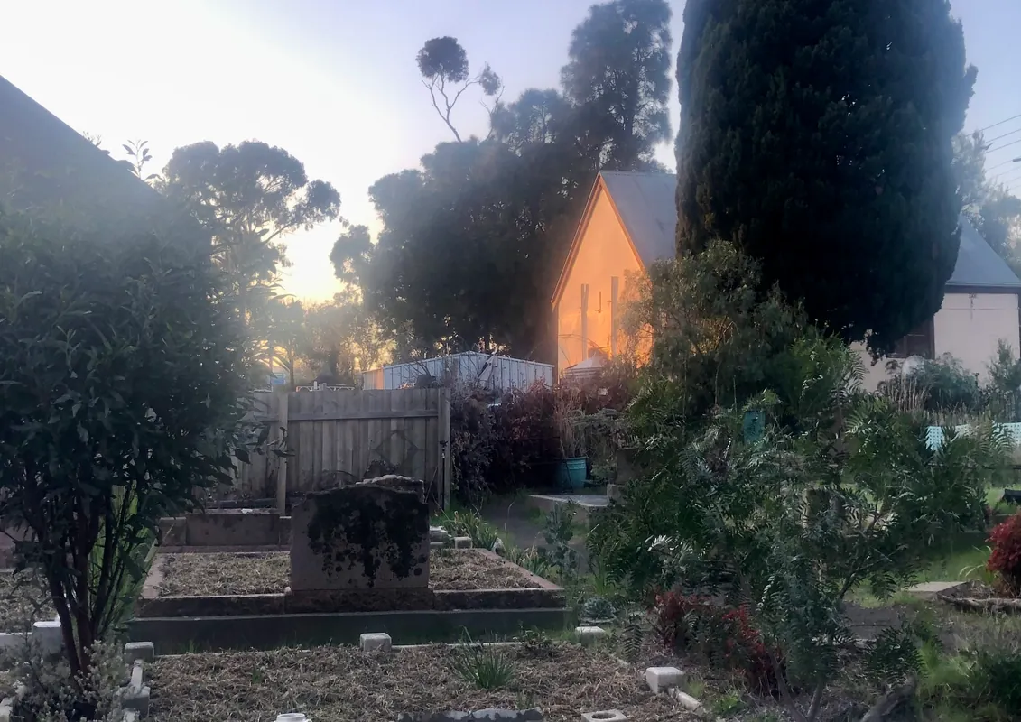GLORY McLaren Vale: A Regeneration & Placemaking project TOUR