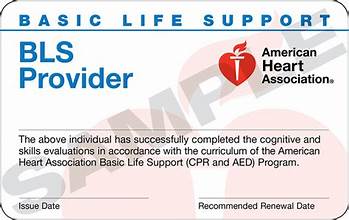 Basic Life Support (BLS)