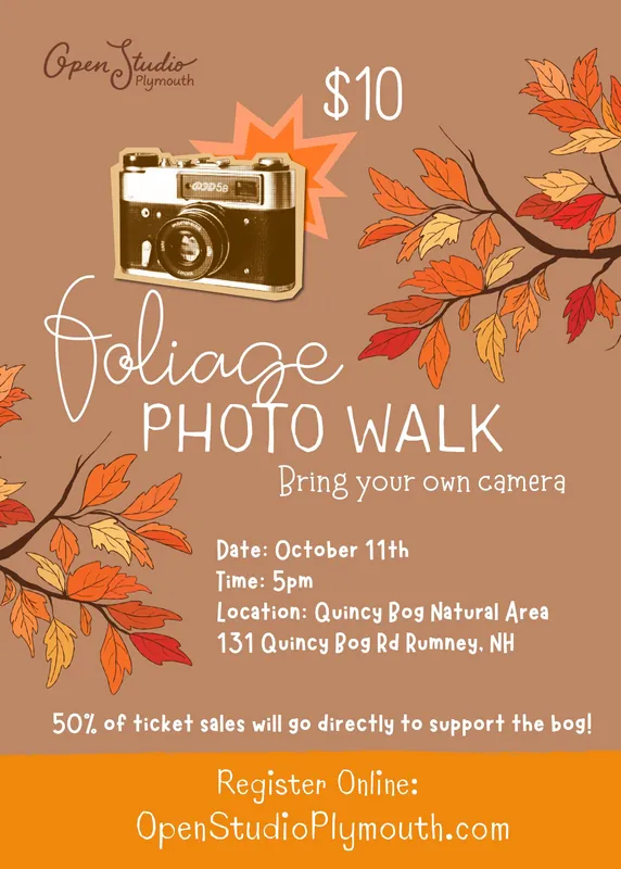 Foliage Photography Walk @ Quincy Bog Natural Area
