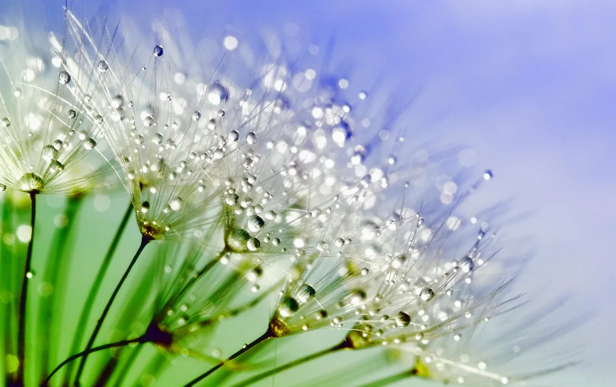 Cultivating Presence — A Three-Hour Meditation & Mindfulness Workshop
