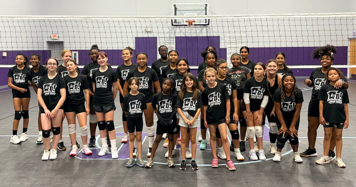 Go! Volleyball: Beginner Dragon Training