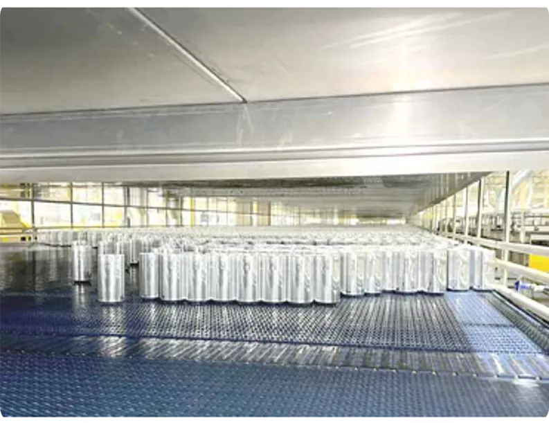 Training Days (Palletizer) Converyor belts