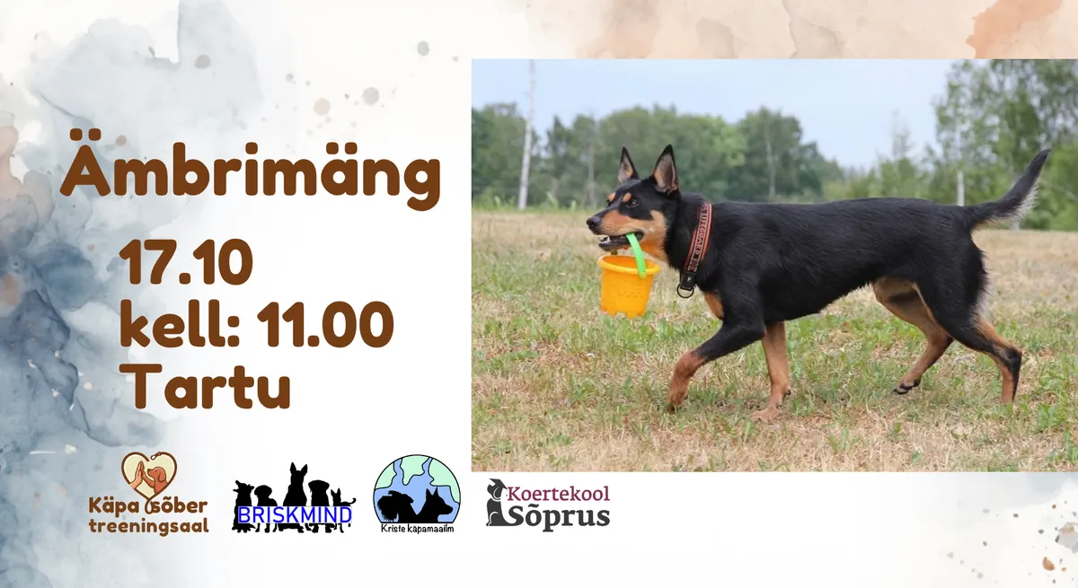 Ämbrimäng - Lea Tummeleht